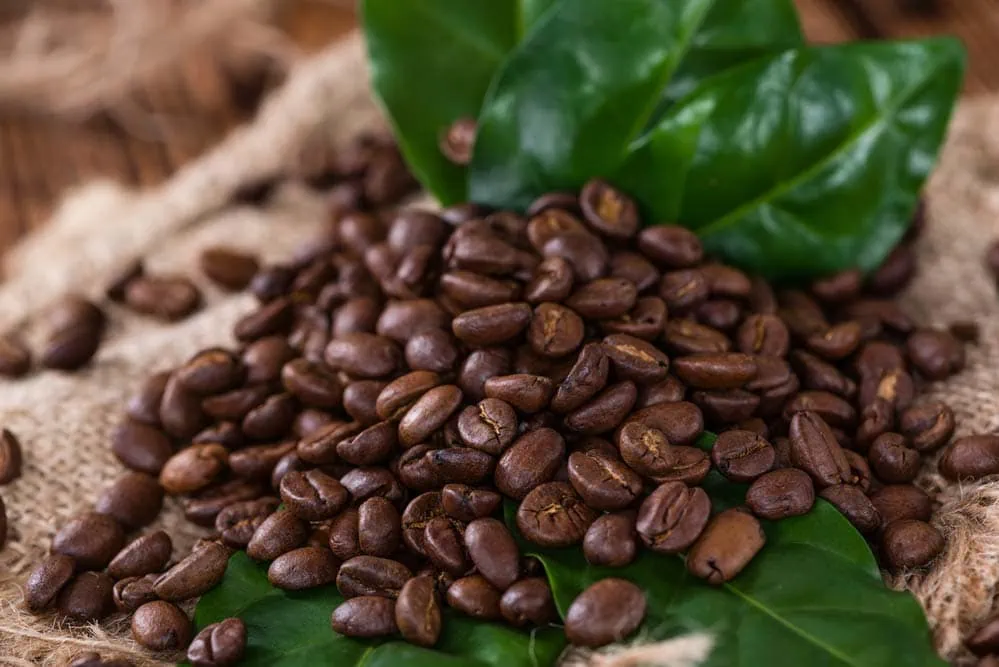 Gute Kaffeebohnen: Der Weg zum idealen Kaffeegenuss